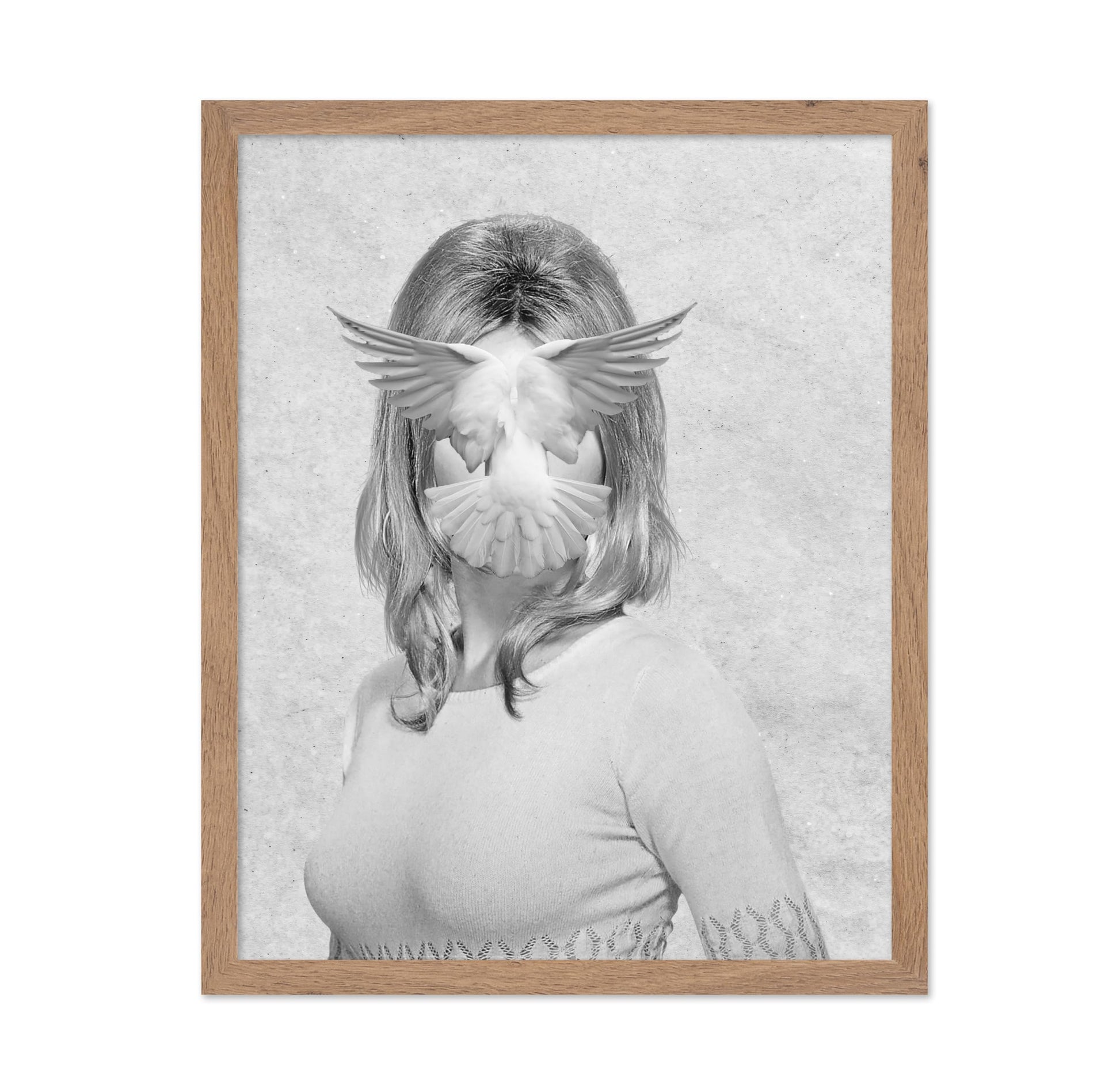 Flying Dove Collage