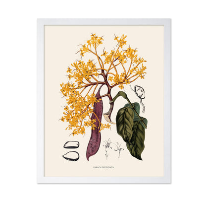 Sorrowless Tree