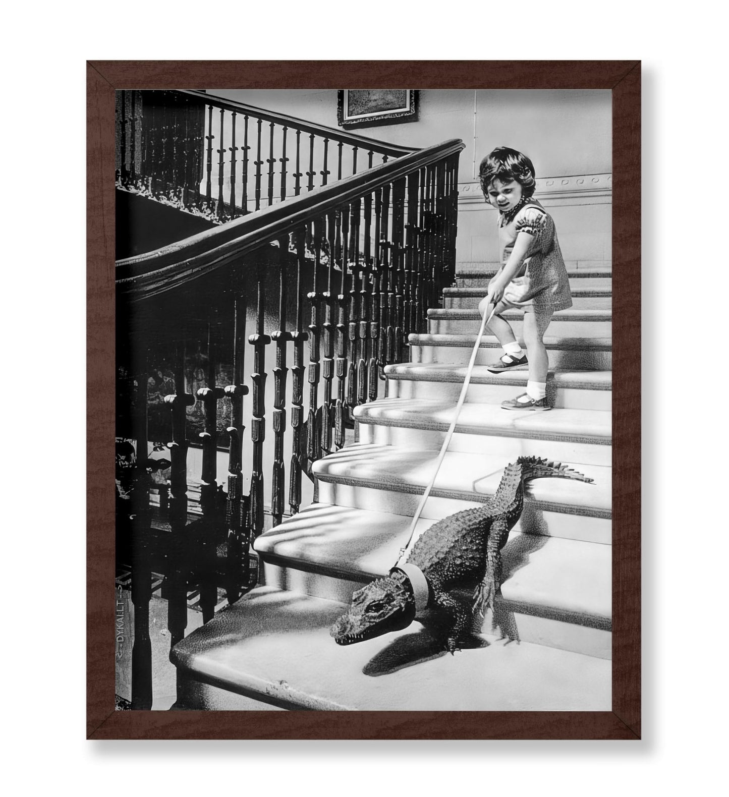 Little Girl and Alligator