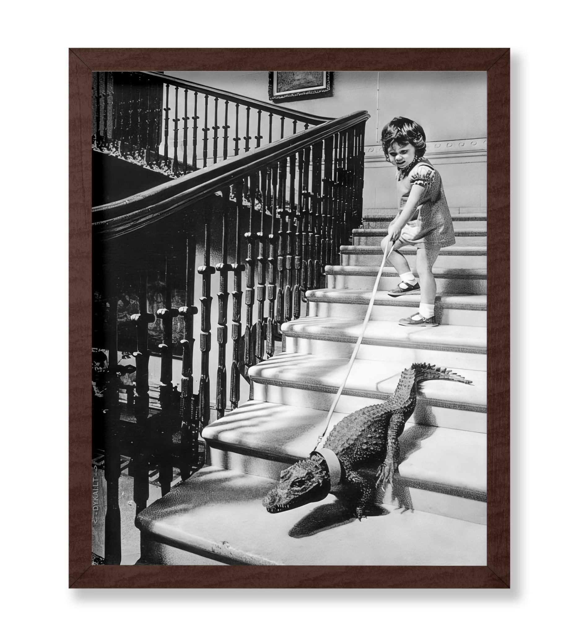Little Girl and Alligator
