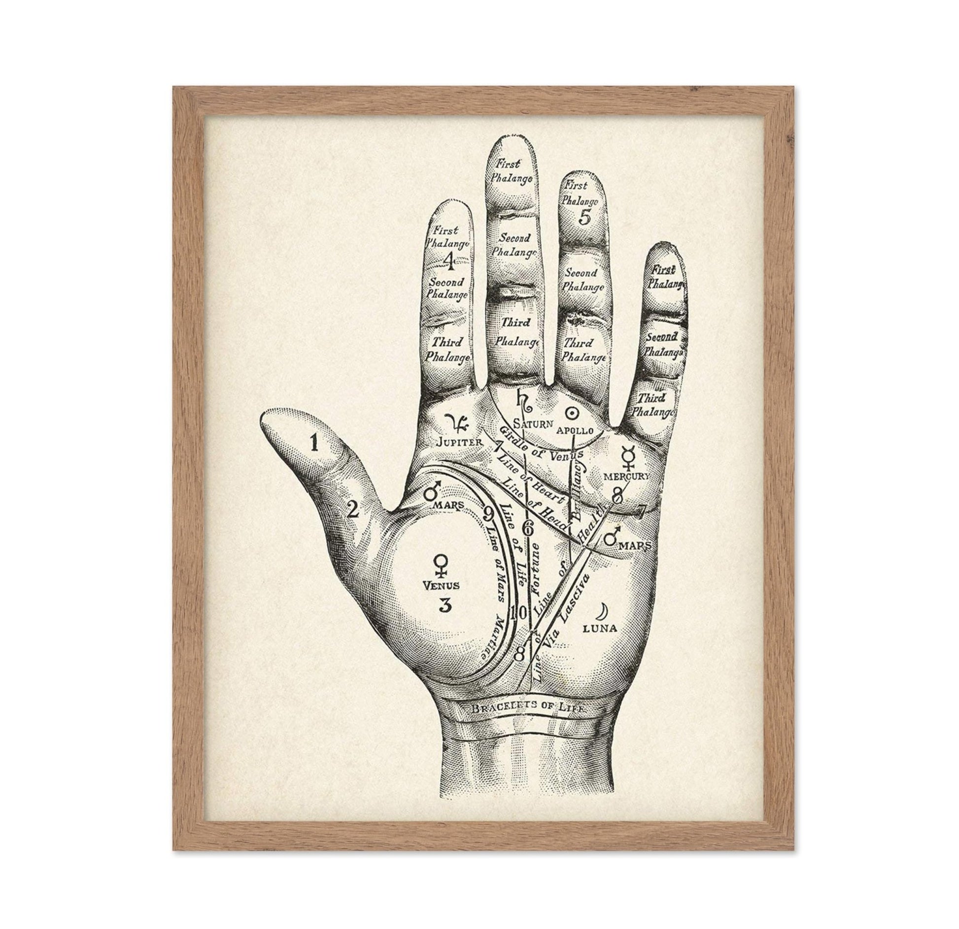 Palmistry
