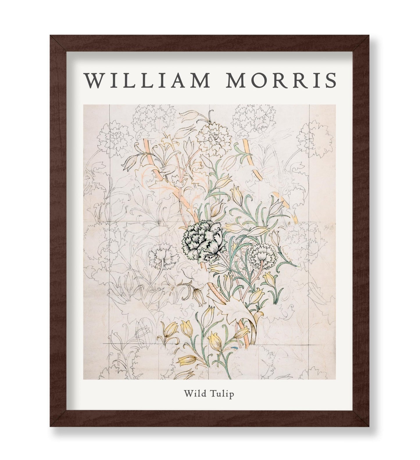 William Morris - Wild Tulip No2