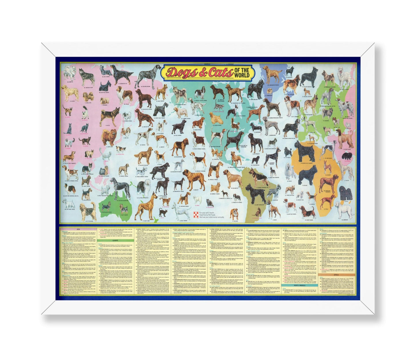 Dogs and Cats of the World