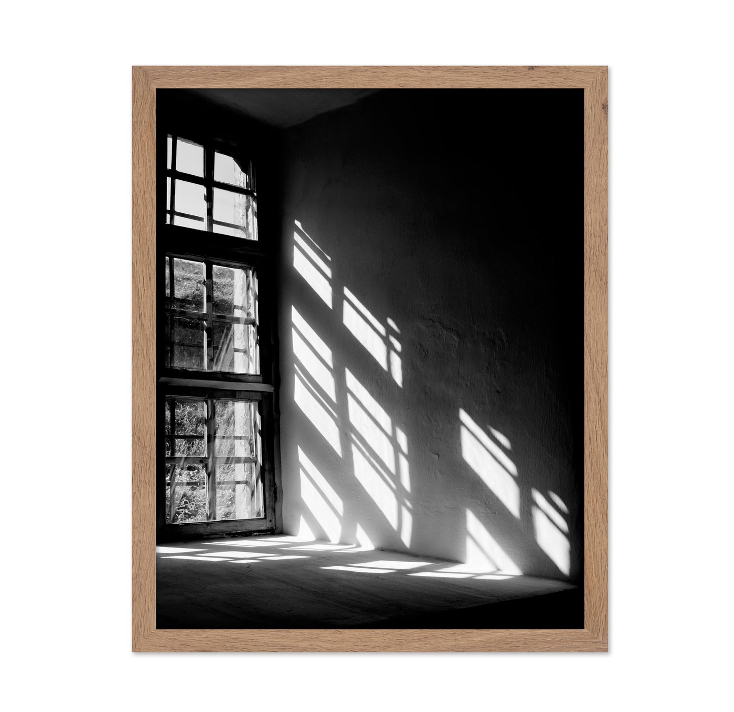 Let The Light In