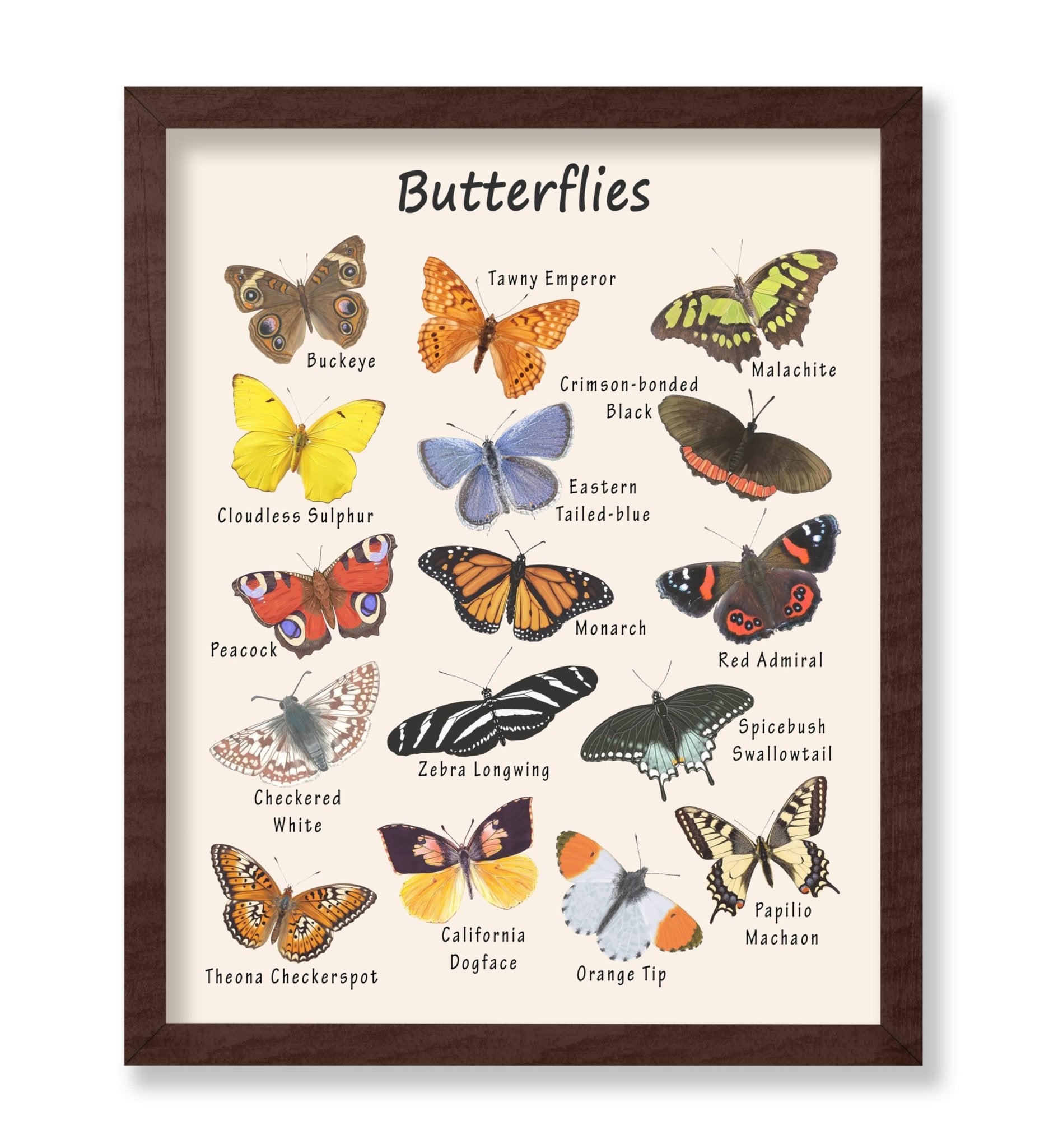 Butterflies No2