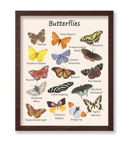 Butterflies No2