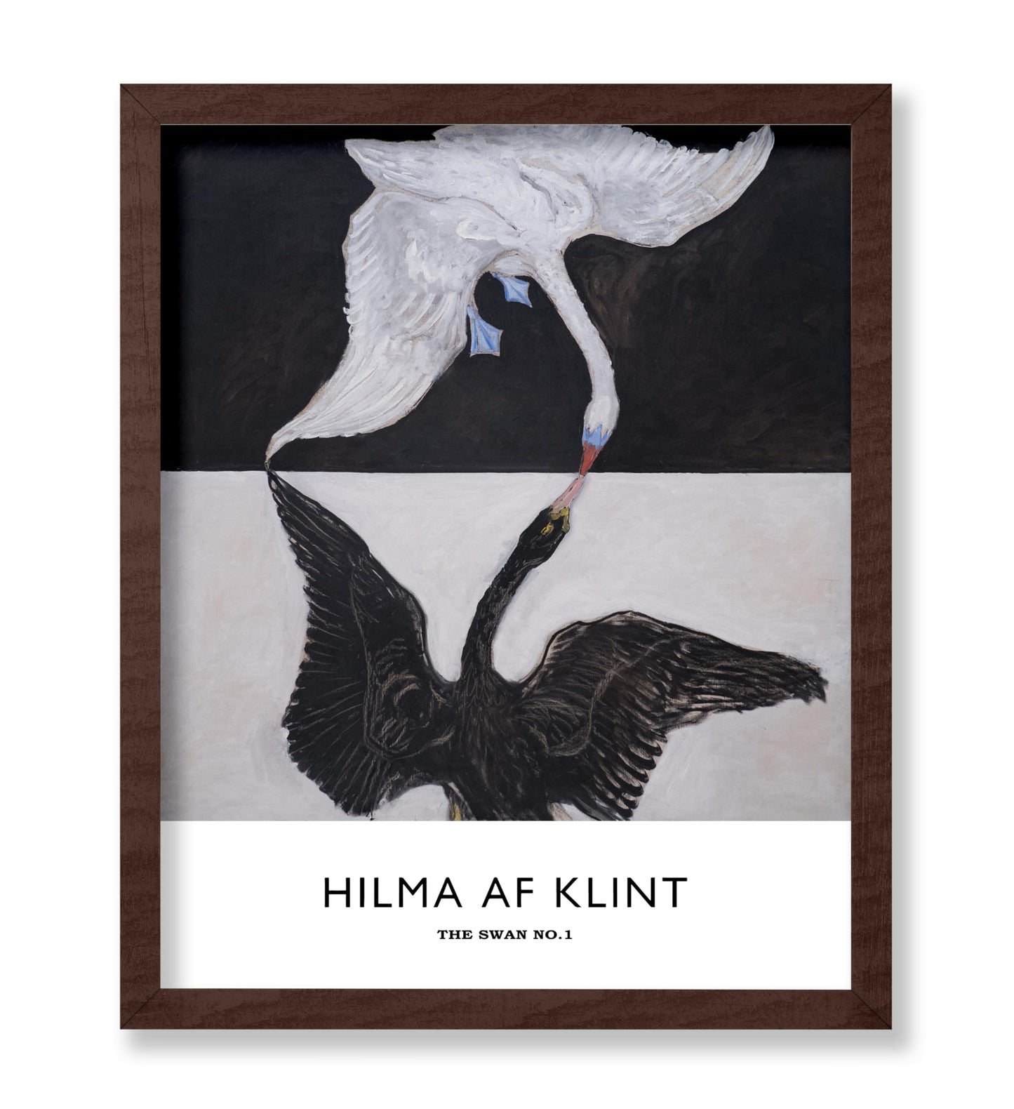 Hilma Af Klimt - The Swan No1