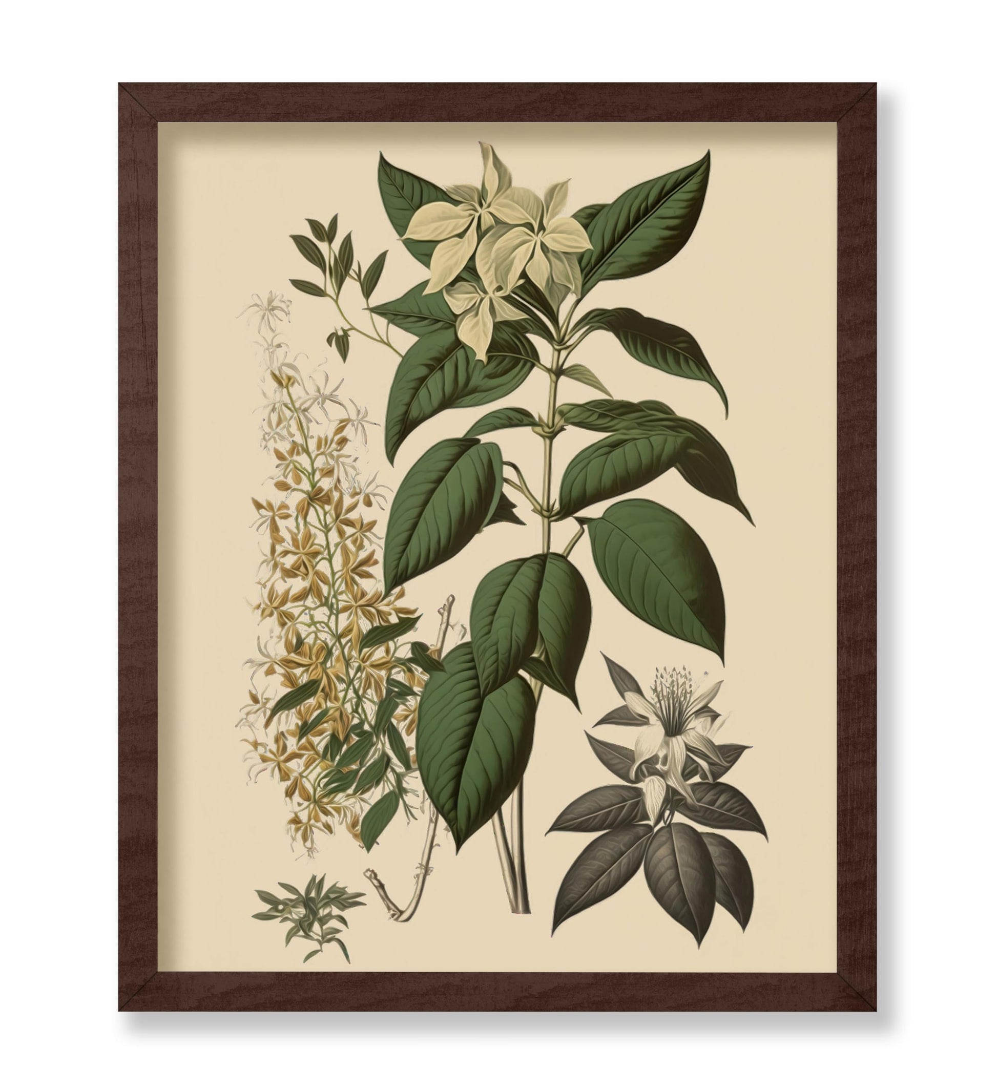 White Jasmine