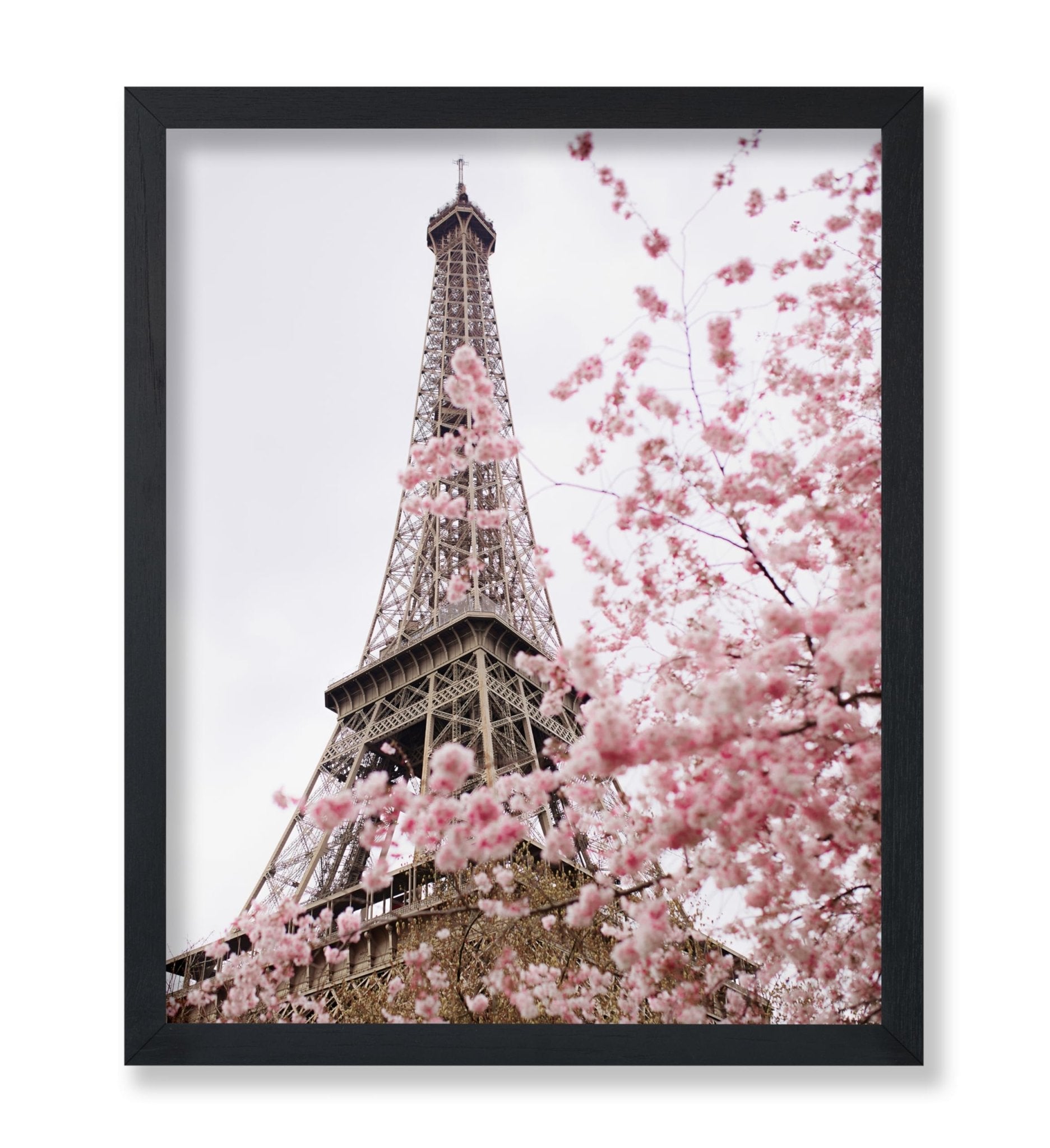 Blooming Paris