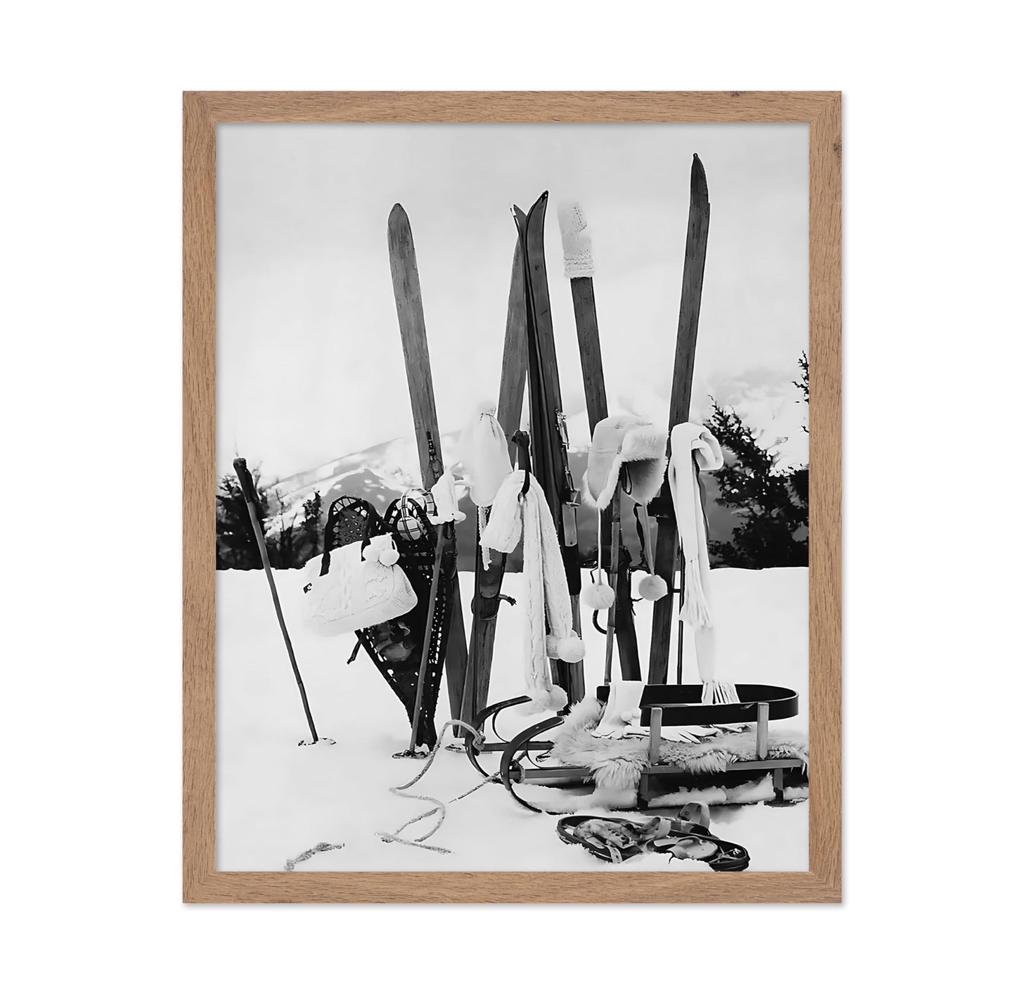 Ski Gears