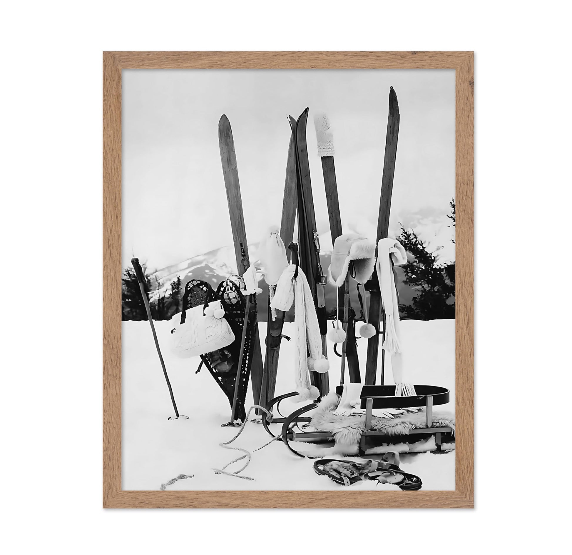 Ski Gears