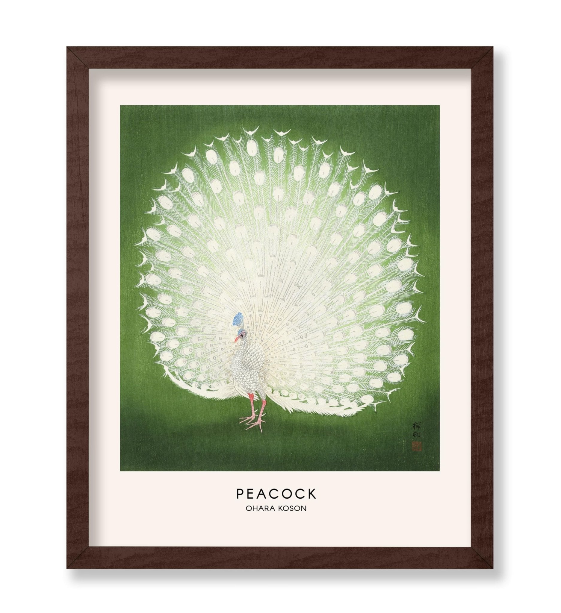 Ohara Koson - Peacock No1