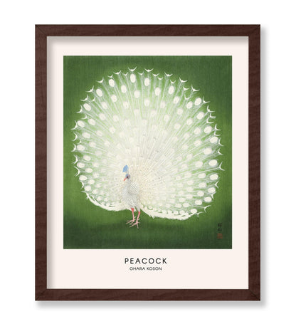 Ohara Koson - Peacock No1