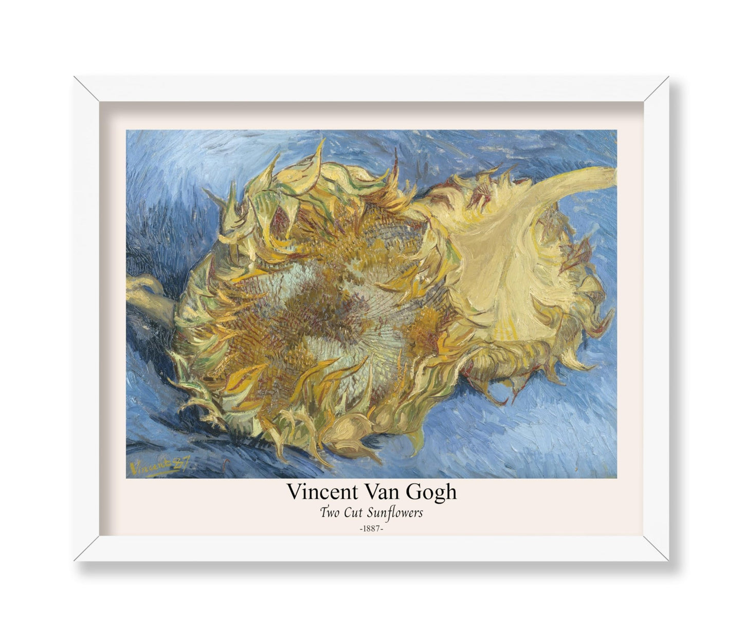 Van Gogh - Two Cut Sunflowers