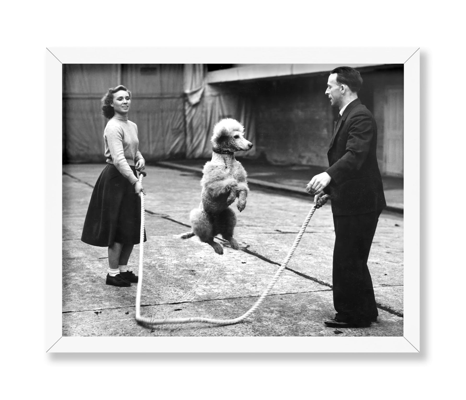 Poodle Jumping Rope