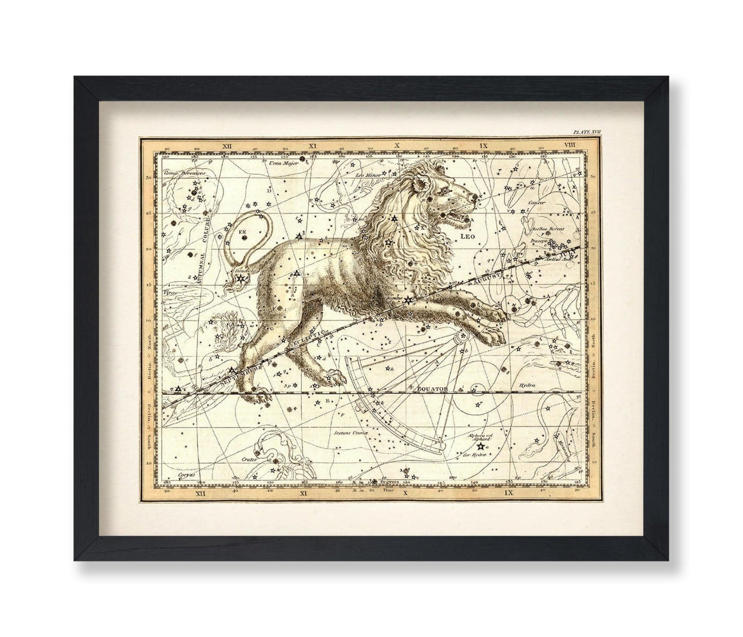 The Lion Zodiac Sign