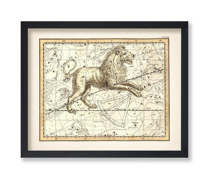The Lion Zodiac Sign