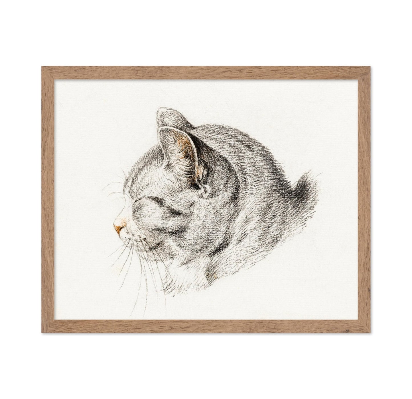 Sketch of A Cat