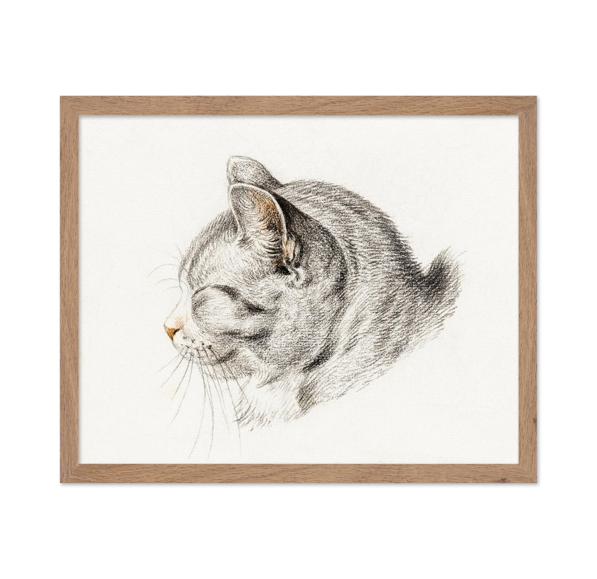 Sketch of A Cat