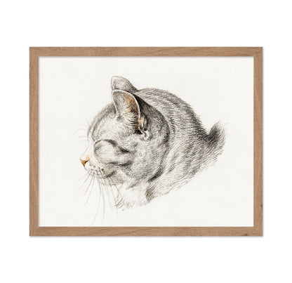 Sketch of A Cat