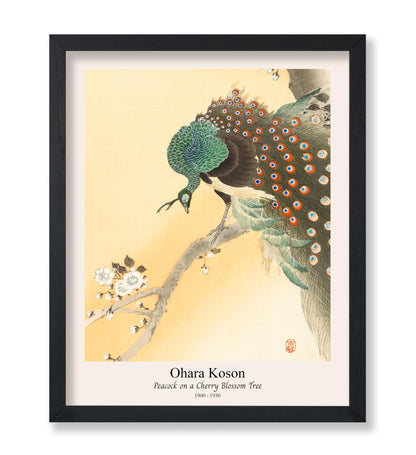 Ohara Koson - Peacock No3