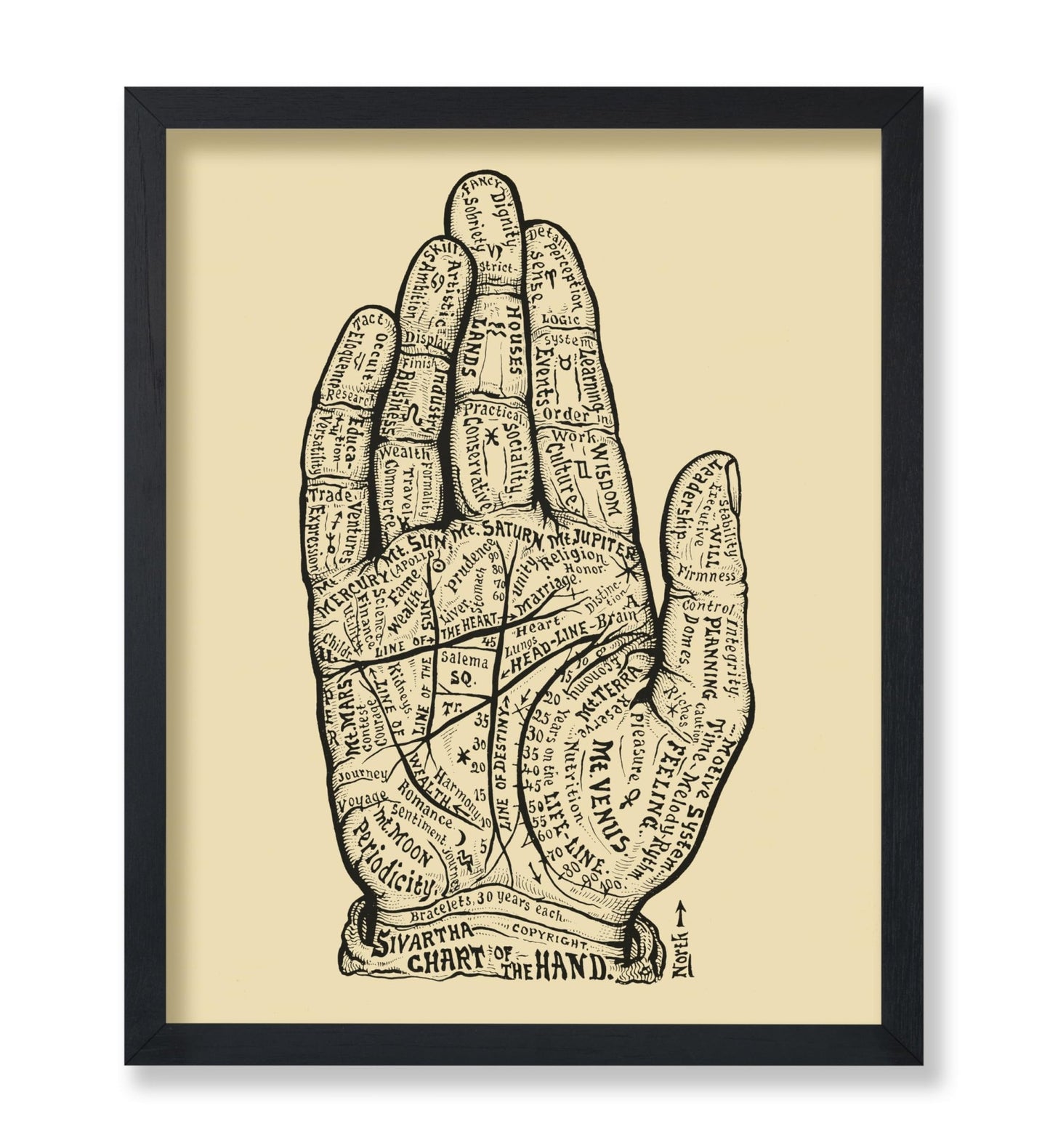 Chart of the Hand