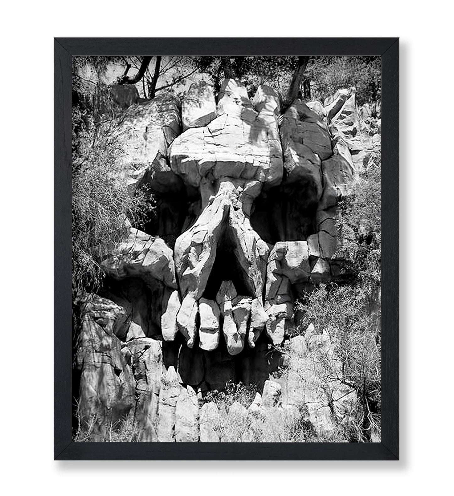 Skull Landscape