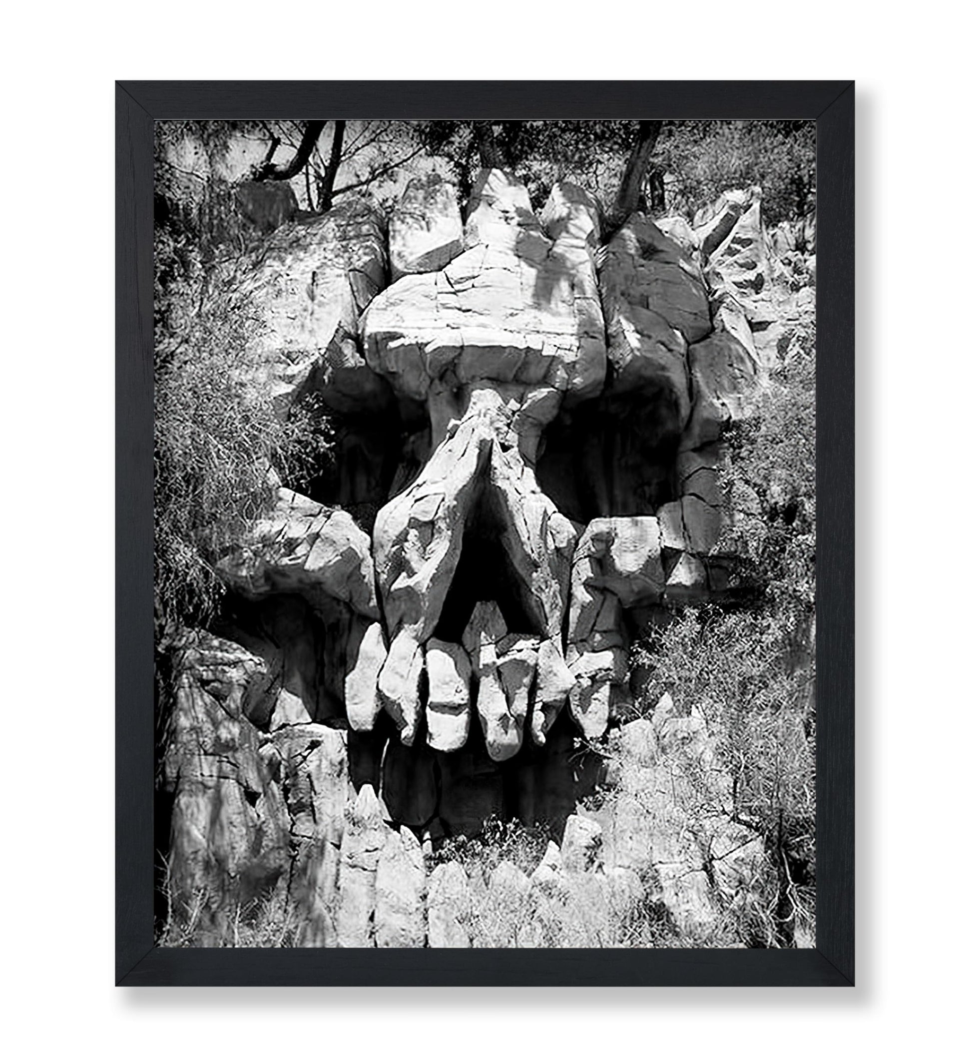 Skull Landscape