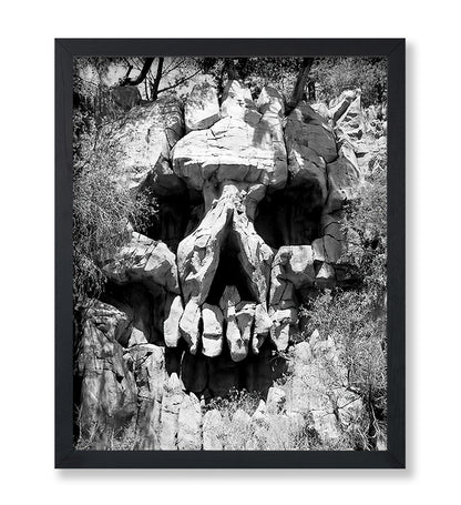 Skull Landscape