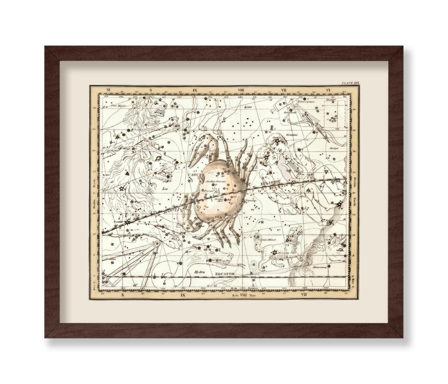 Cancer the Crab Zodiac Sign