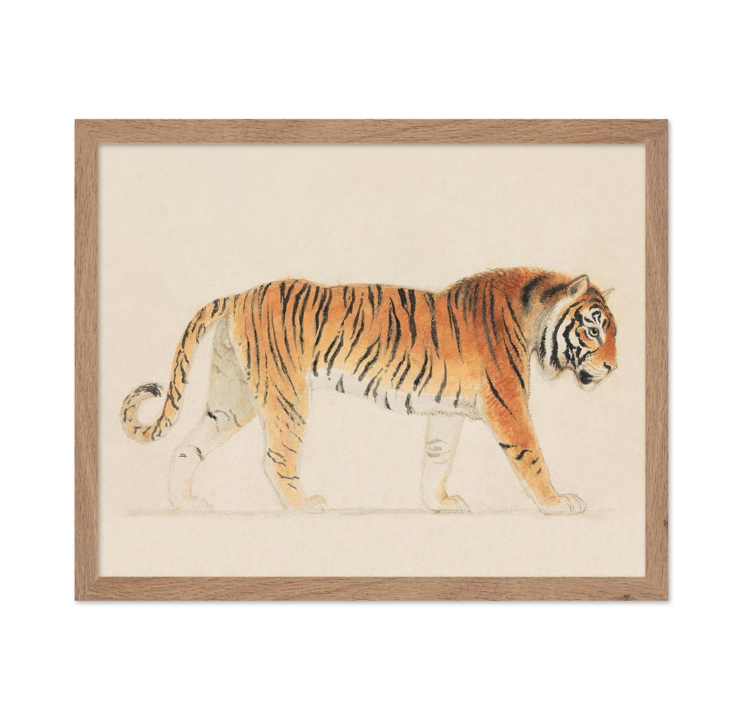 Thomas Stothard - A Tiger