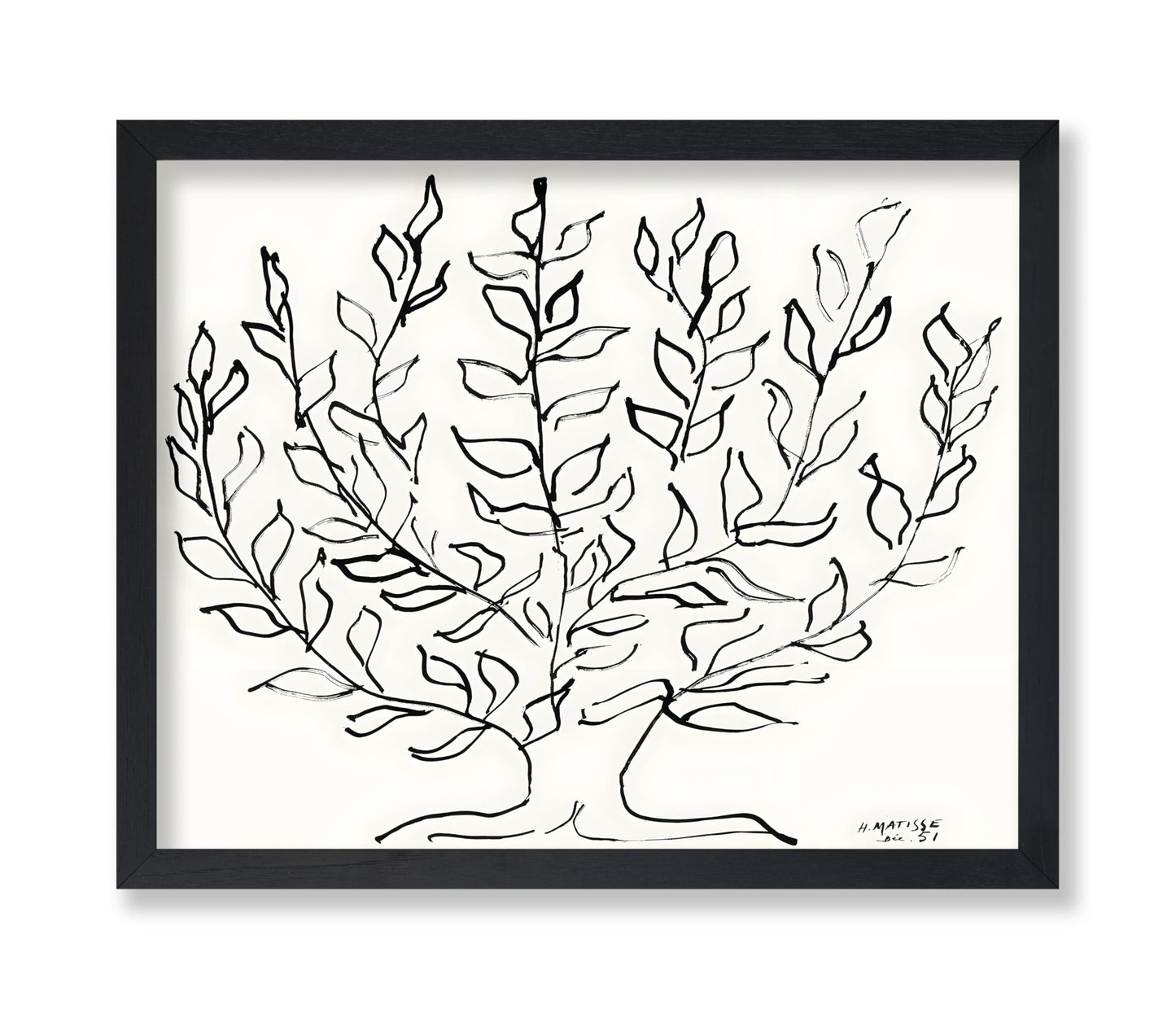 Henri Matisse - Plain Tree No2