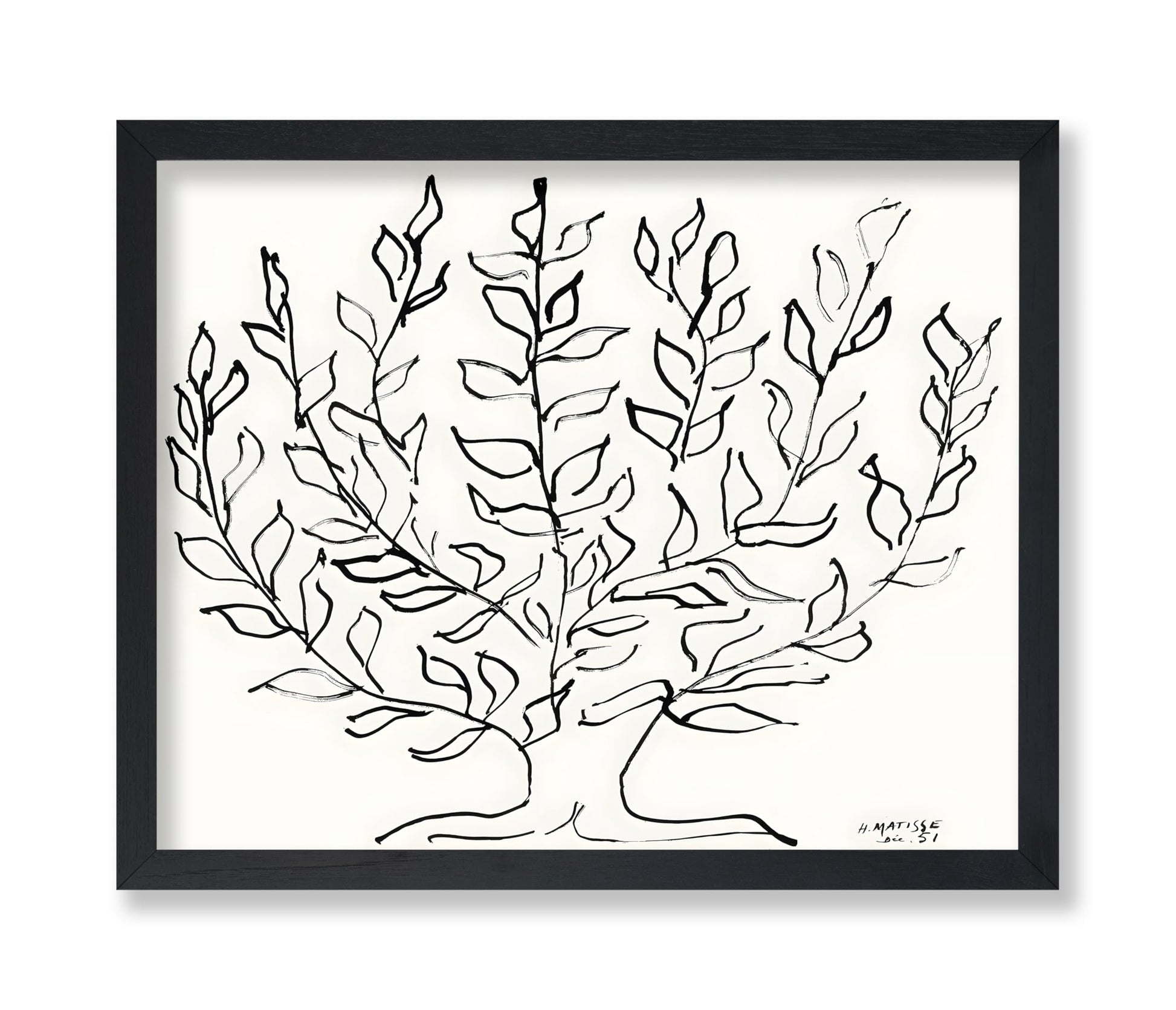 Henri Matisse - Plain Tree No2