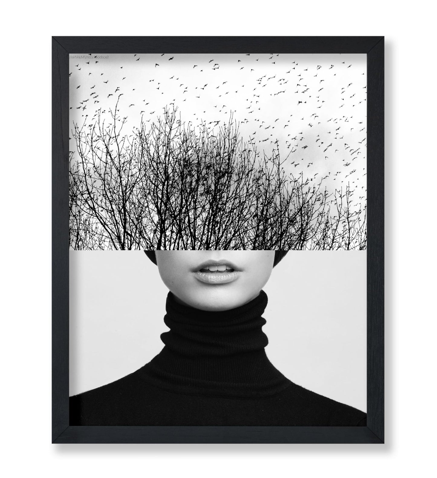 Woman & Trees Collage