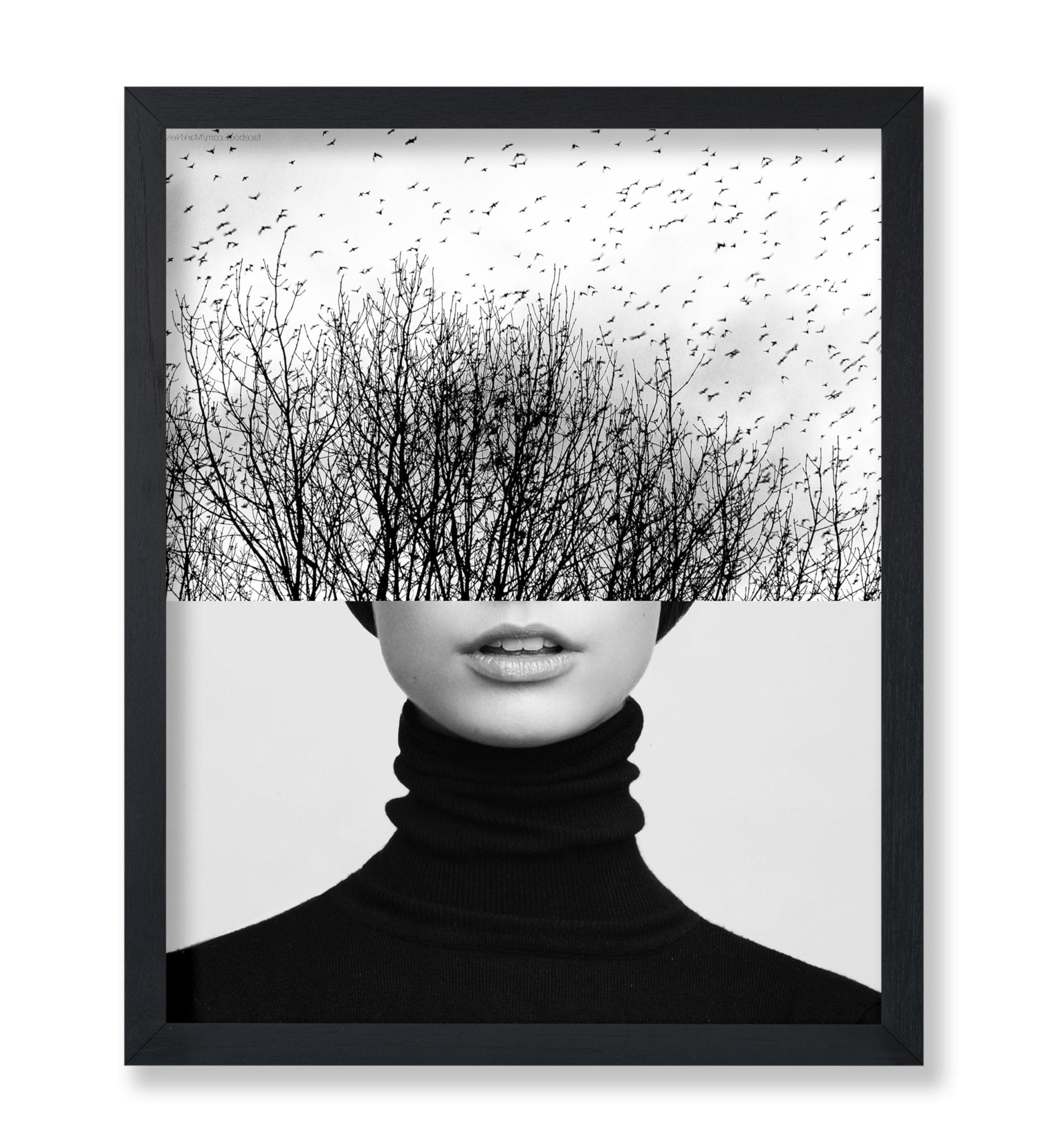 Woman & Trees Collage