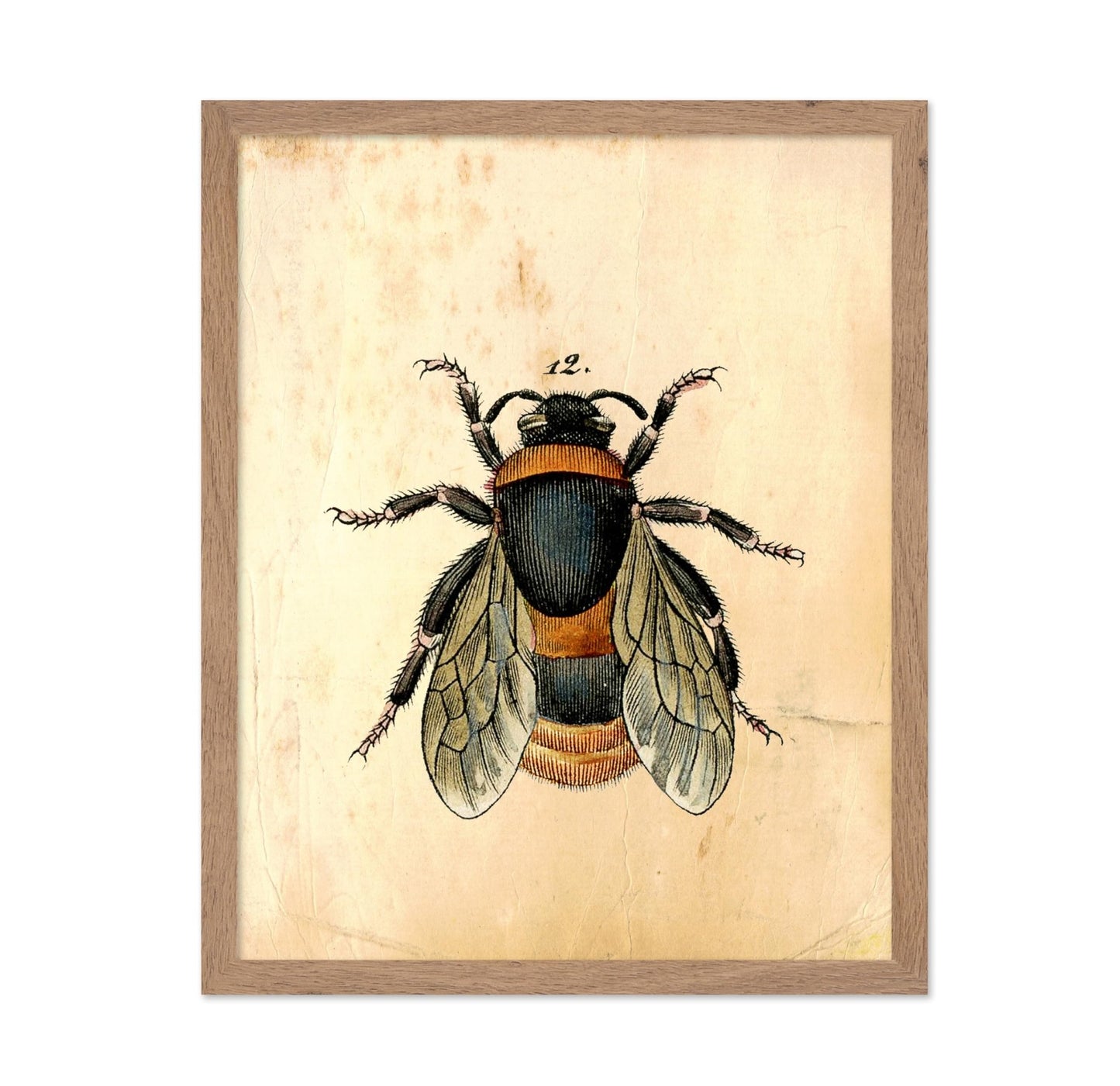 Bumblebee No1