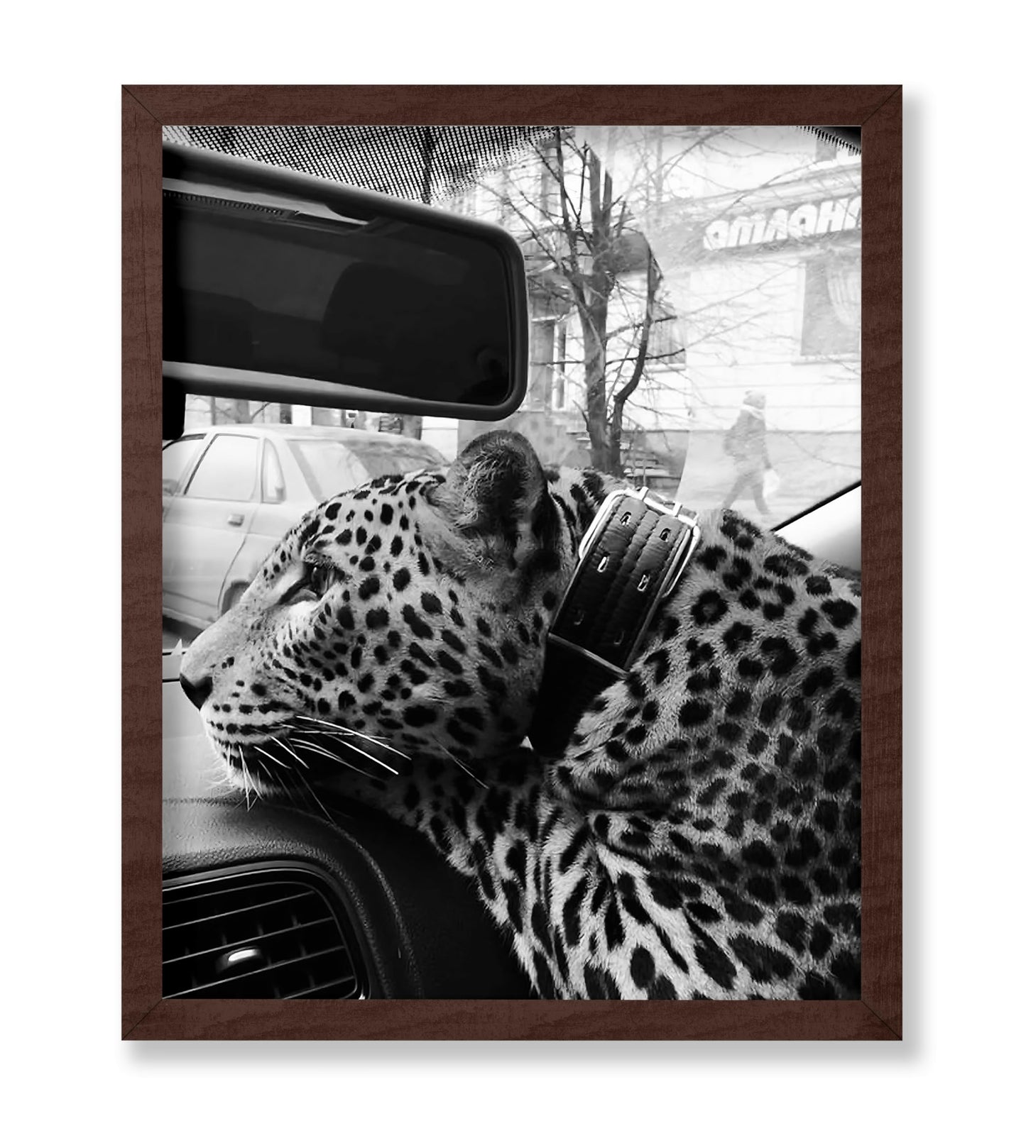 Cheetah in the Car