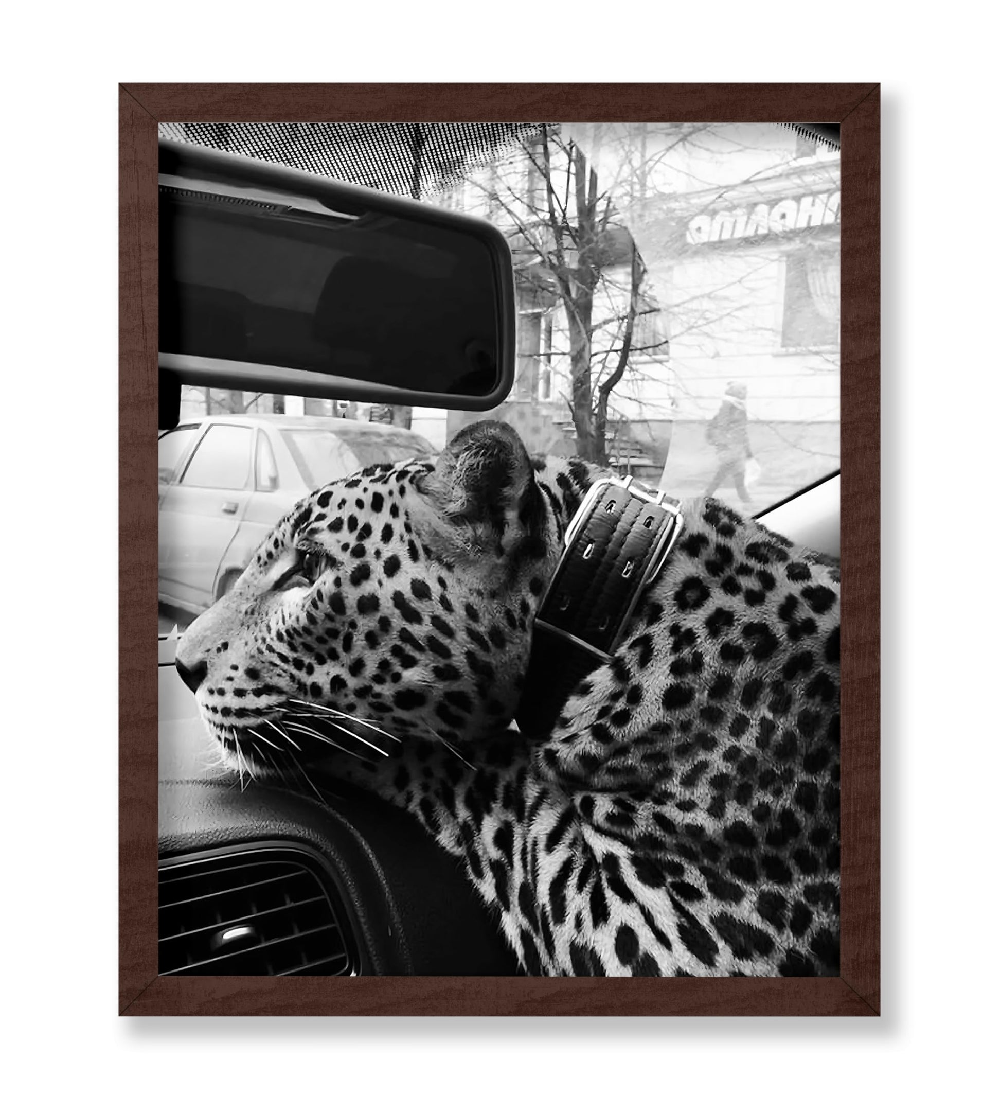 Cheetah in the Car