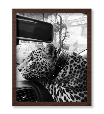 Cheetah in the Car