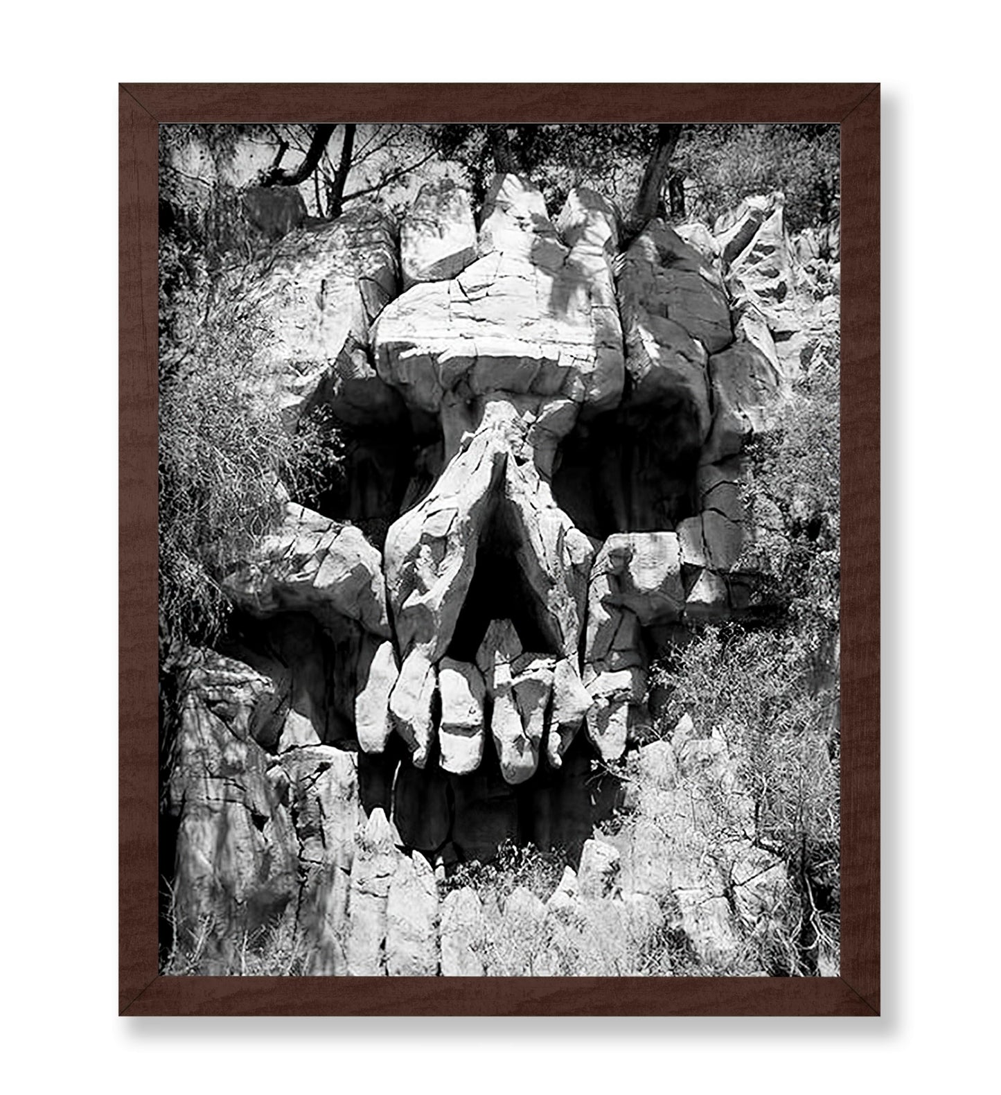 Skull Landscape