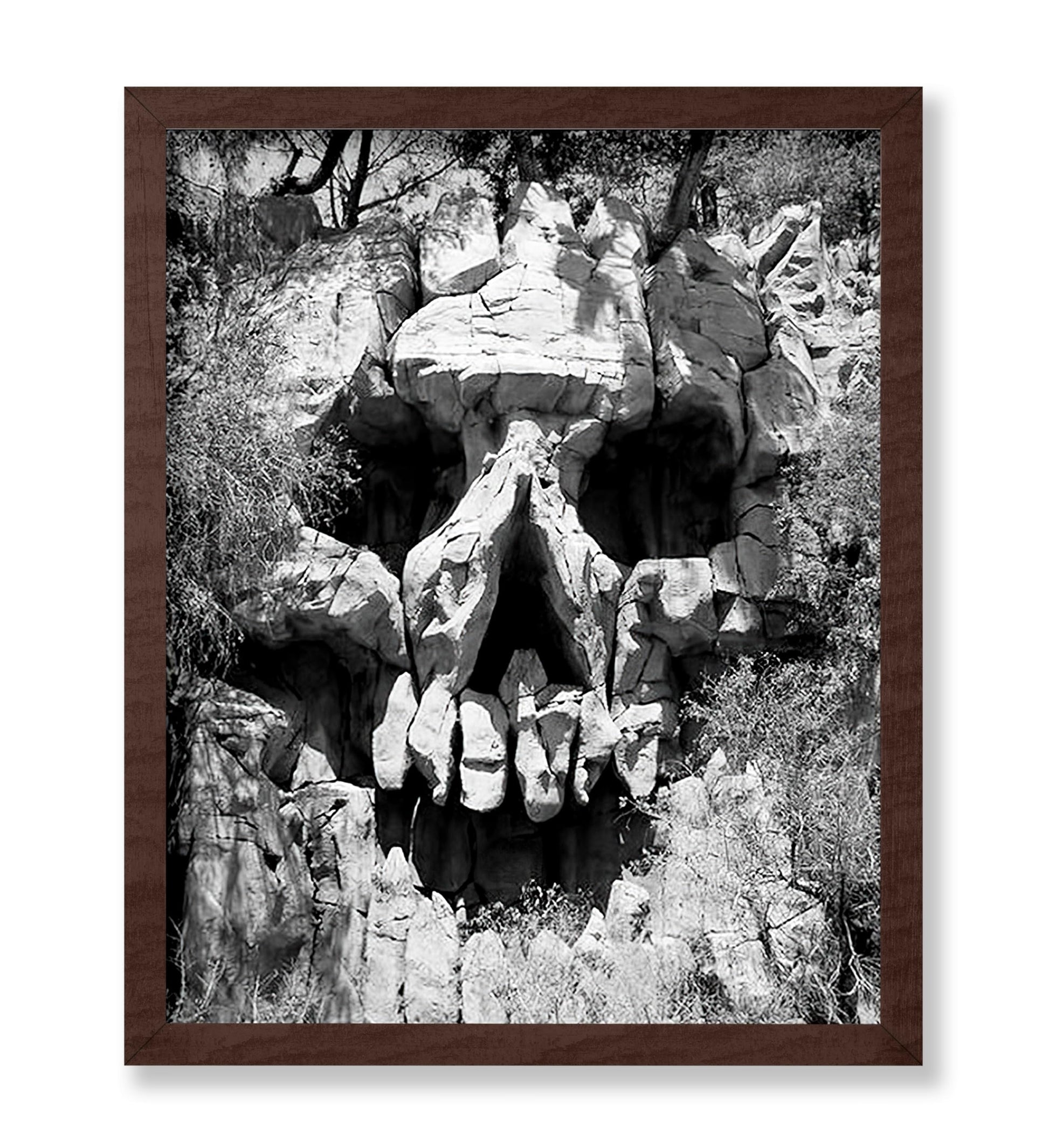 Skull Landscape