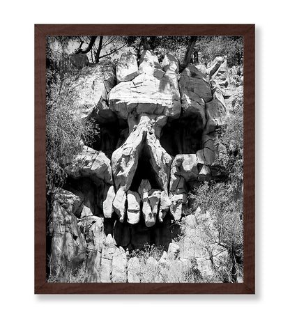 Skull Landscape