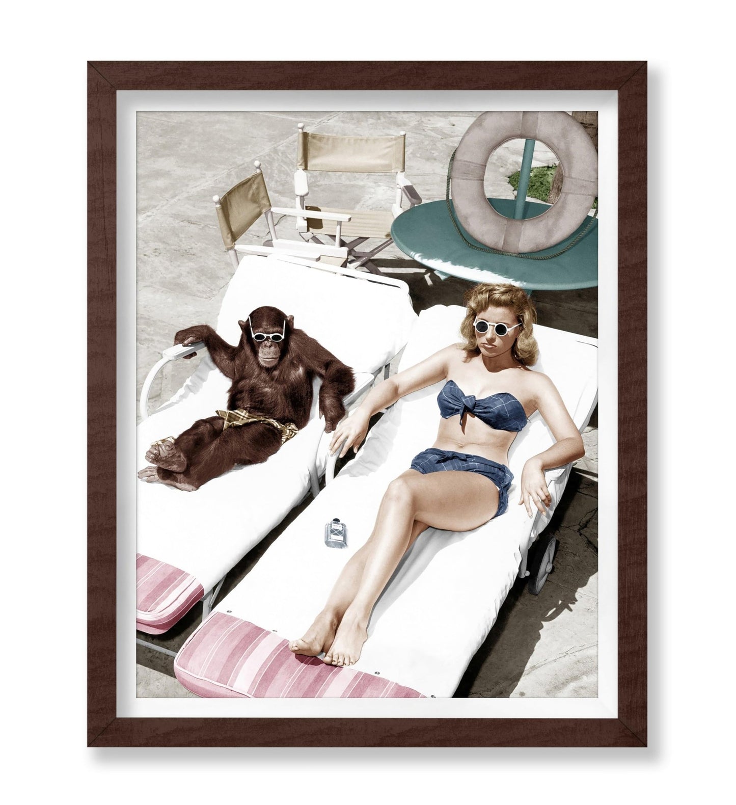 Chimpanzee and a Woman Sunbathing