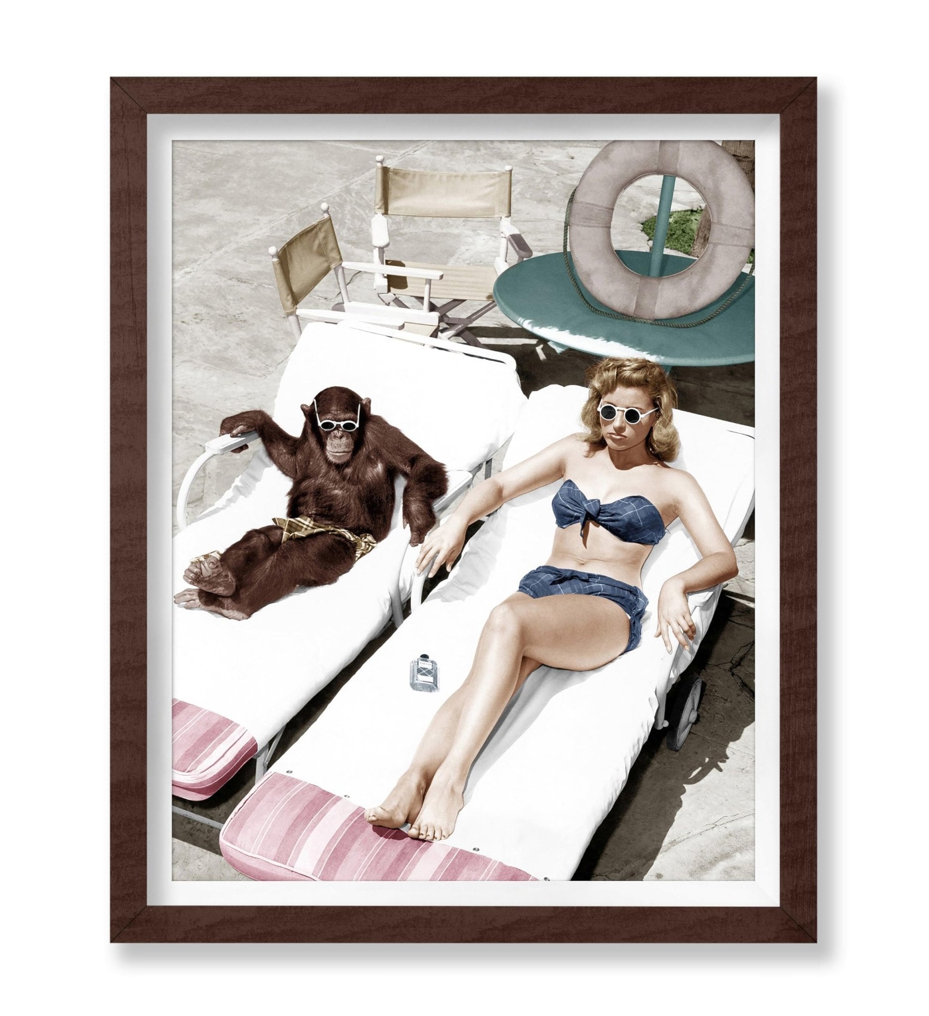 Chimpanzee and a Woman Sunbathing