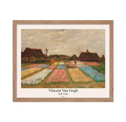 Van Gogh - Bulb Fields