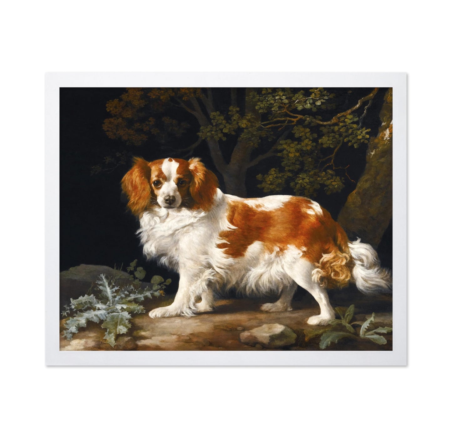King Charles Spaniel in a Wooded Landscape