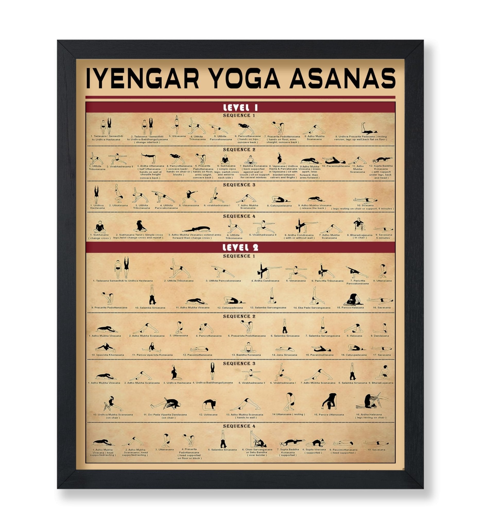 Yoga Knowledge No1