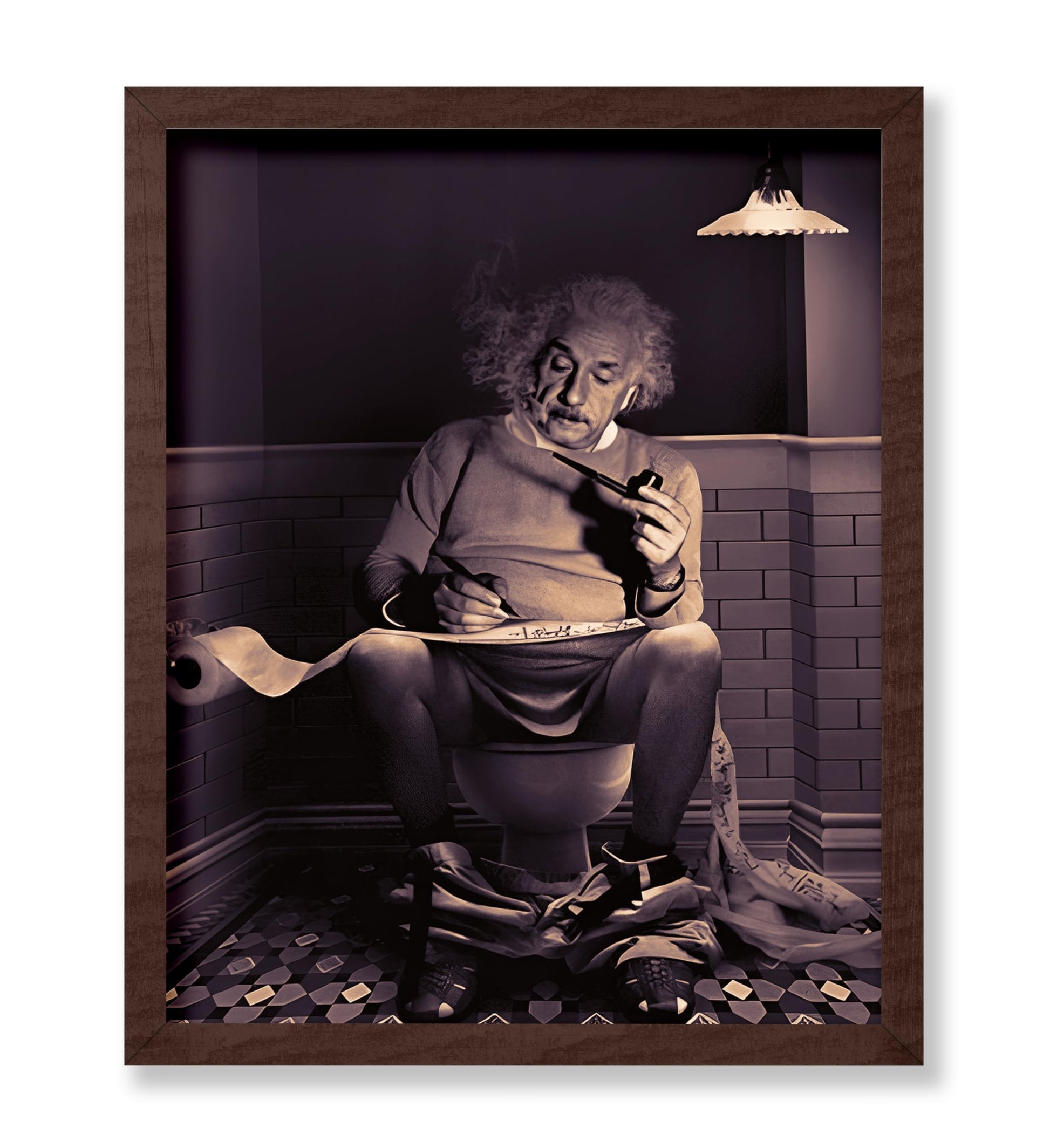 Einstein Sitting on Toilet