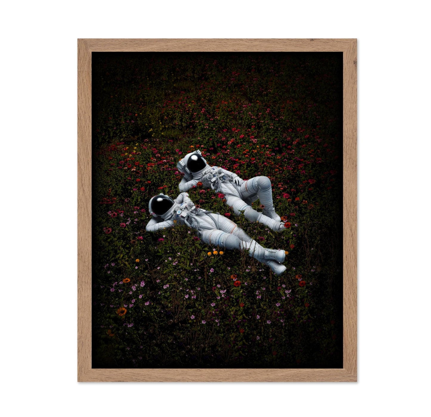 Astronaut Lovers