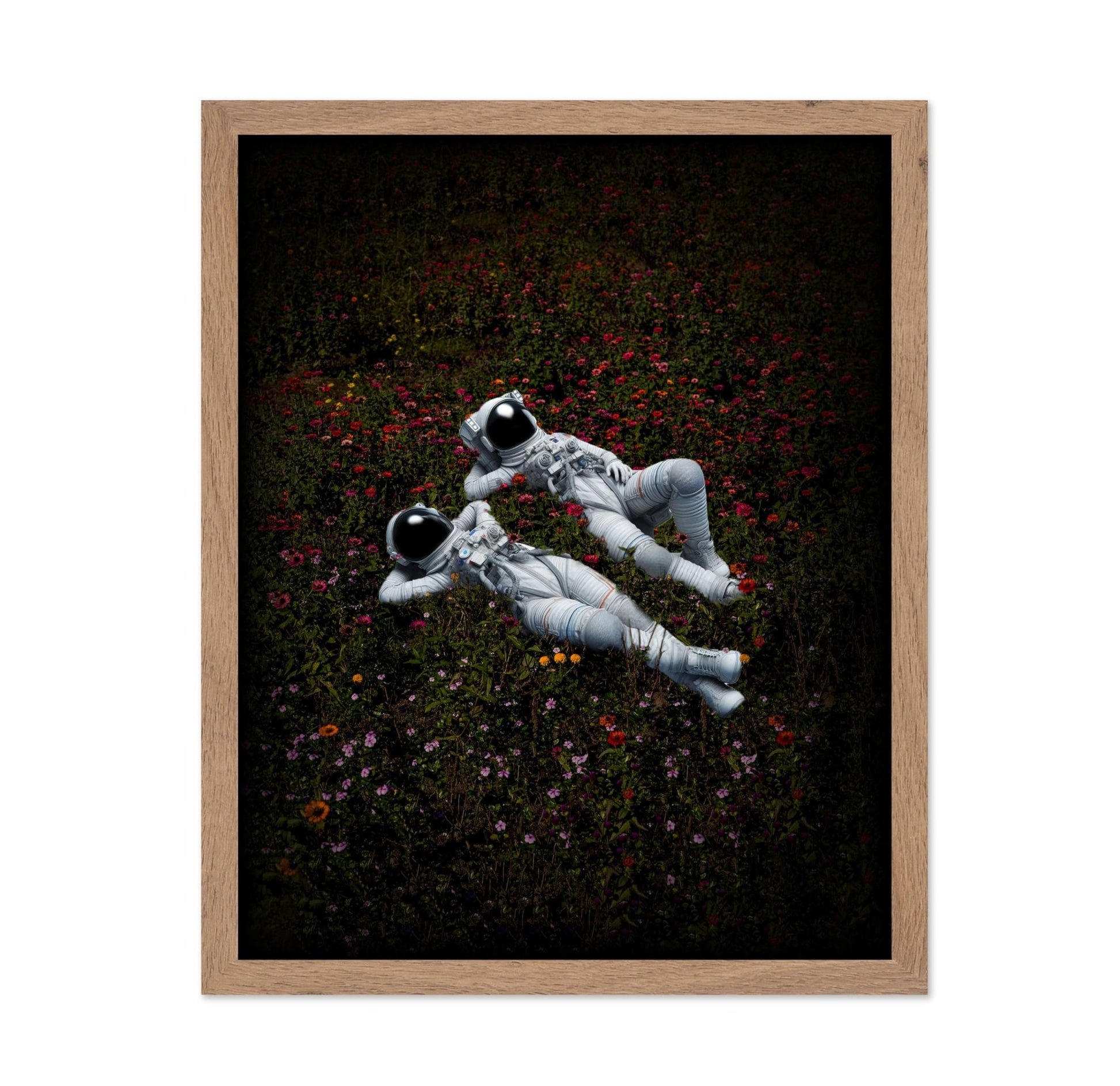 Astronaut Lovers